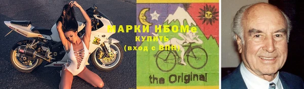 шишки Алзамай