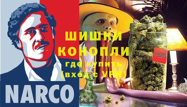 шишки Алзамай
