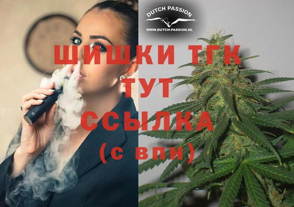 шишки Алзамай