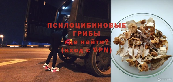 apvp Алексеевка