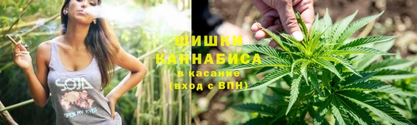 шишки Алзамай