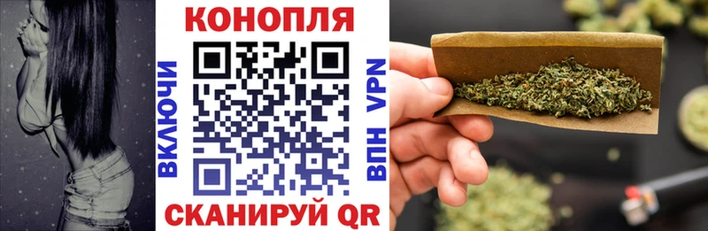 Канабис гибрид  Берёзовка 